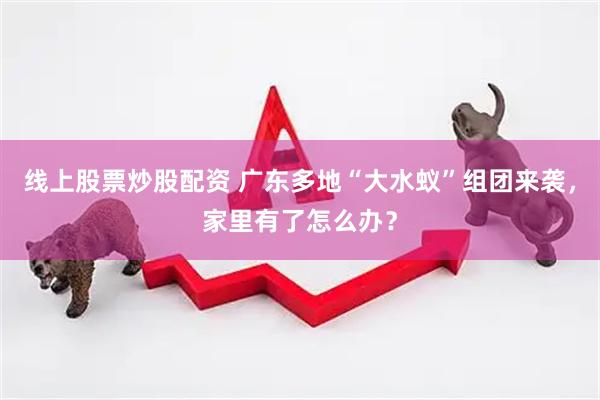 线上股票炒股配资 广东多地“大水蚁”组团来袭，家里有了怎么办？