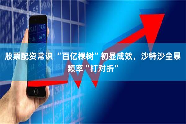 股票配资常识 “百亿棵树”初显成效，沙特沙尘暴频率“打对折”