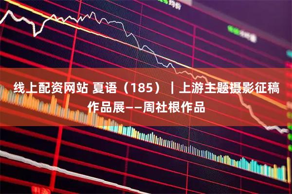 线上配资网站 夏语（185）｜上游主题摄影征稿作品展——周社根作品