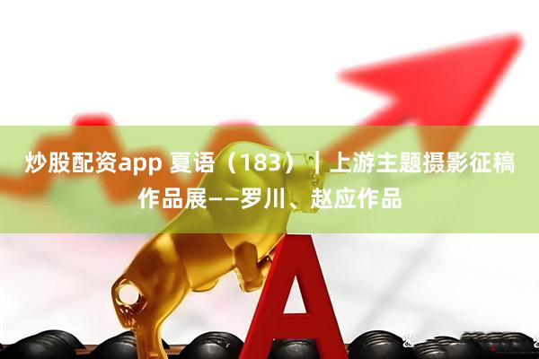 炒股配资app 夏语(183)|上游主题摄影征稿作品展——罗川、赵应作品